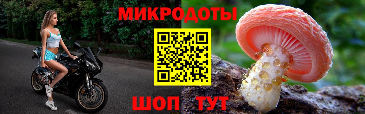 Псилоцибиновые грибы Psilocybine cubensis  Вход с VPN  Богородицк 